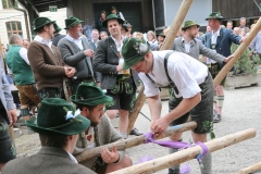 Maibaum im Augustiner Keller 2018