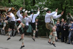 Maibaum im Augustiner Keller 2018