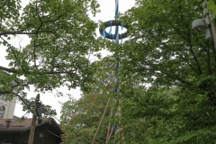 Maibaum im Augustiner Keller 2018