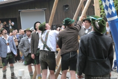 Maibaum im Augustiner Keller 2018