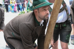 Maibaum im Augustiner Keller 2018