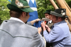 Maibaum im Augustiner Keller 2018