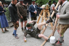 Maibaum im Augustiner Keller 2018