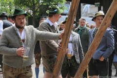 Maibaum im Augustiner Keller 2018