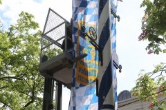 Maibaum im Augustiner Keller 2018