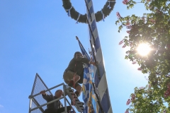 Maibaum im Augustiner Keller 2018