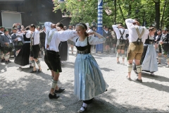 Maibaum im Augustiner Keller 2018