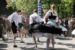 Maibaum im Augustiner Keller 2018