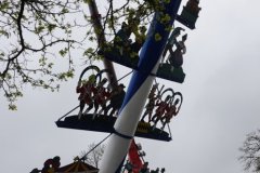 60 Jahre Maibaum am Viktualienmarkt in München 2022