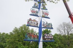 60 Jahre Maibaum am Viktualienmarkt in München 2022