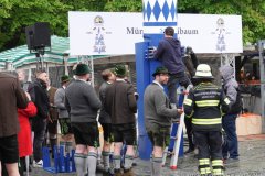 60 Jahre Maibaum am Viktualienmarkt in München 2022