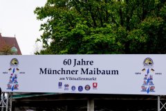 60 Jahre Maibaum am Viktualienmarkt in München 2022