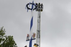 60 Jahre Maibaum am Viktualienmarkt in München 2022