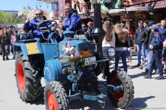 Tag des Brauchtums am Frühlingssfest 2017