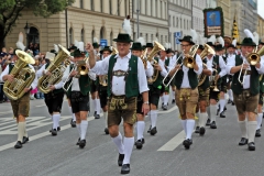 Trachten- und Schützenzug 2015