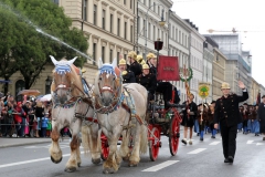 Trachten- und Schützenzug 2015