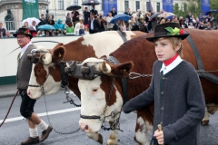 Trachten- und Schützenzug 2015