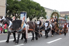 Trachten- und Schützenzug 2015